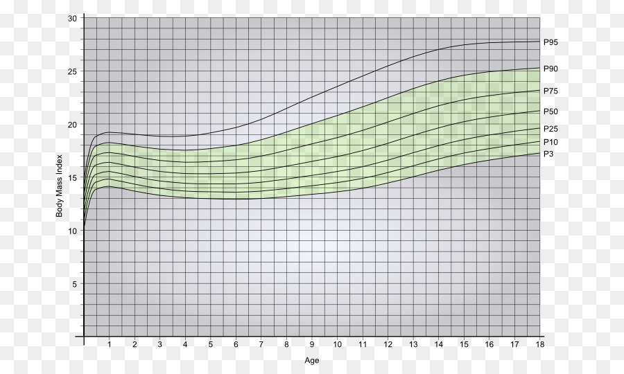 O índice De Massa Corporal，Peso E Altura No Percentil PNG
