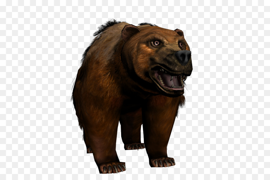 Urso Que Ruge，Selvagem PNG