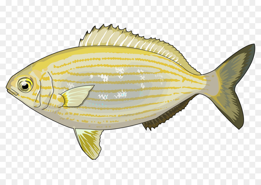 Peixe，Mar PNG