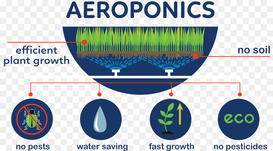 Aeroponia，Crescimento Das Plantas PNG