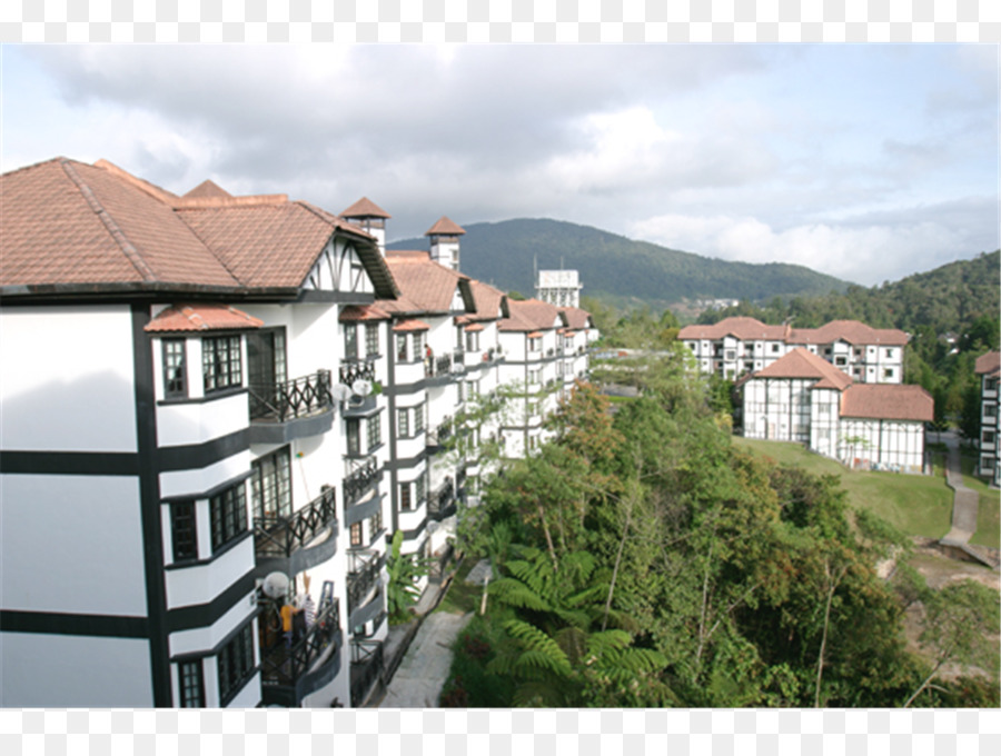 Cameron Highlands，Propriedade PNG