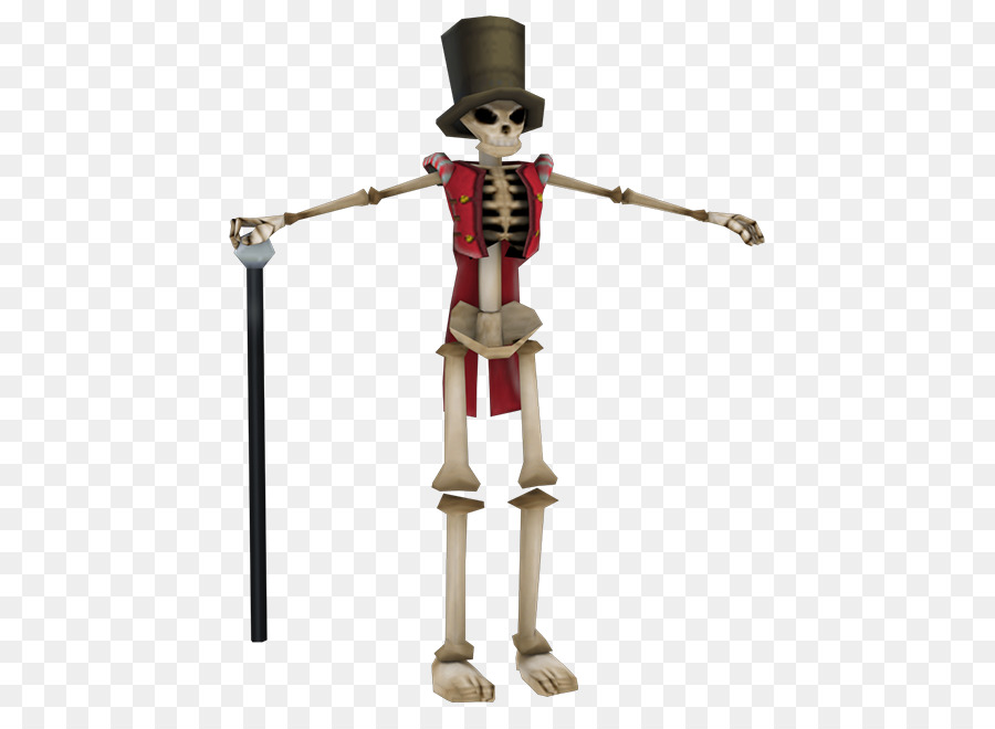 Comum，Esqueleto PNG