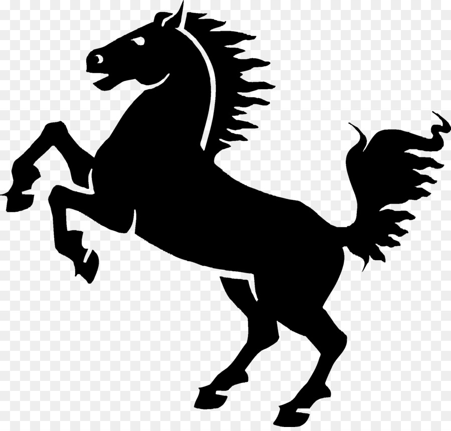 Mustang，Muitas Cavalo PNG