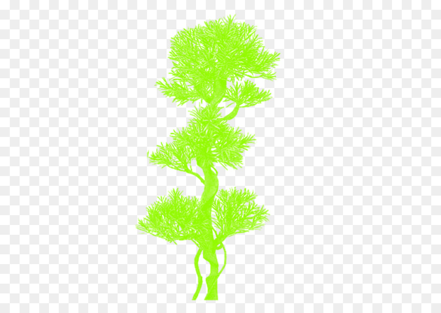 árvore，Planta PNG