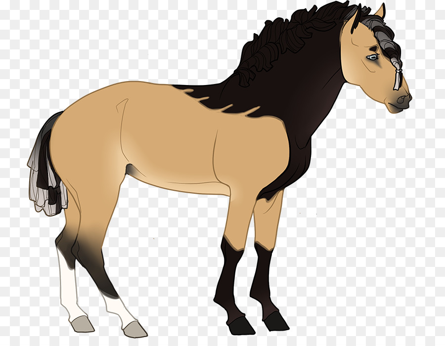 Cavalo，Equino PNG