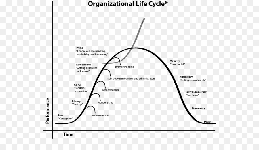 Organizacionais De Ciclo De Vida，Organização PNG