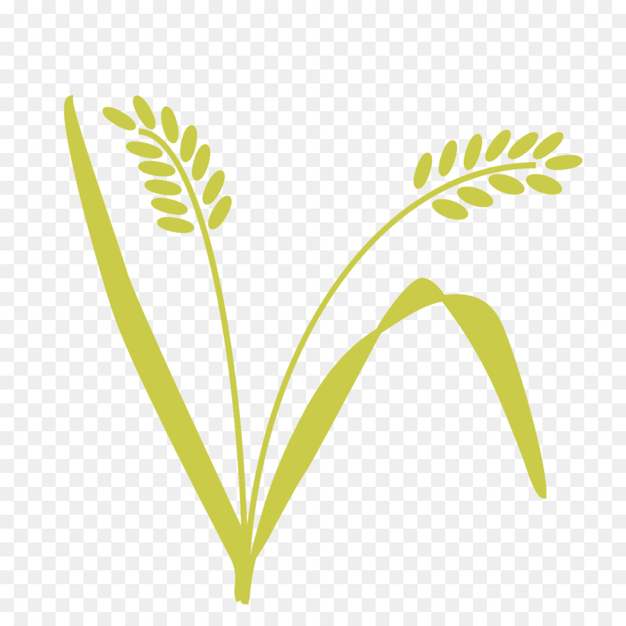 Planta Verde，Natureza PNG