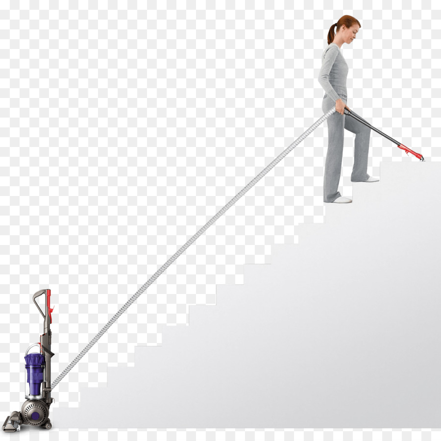 Aspirador De Pó，Dyson Dc65 Animal PNG