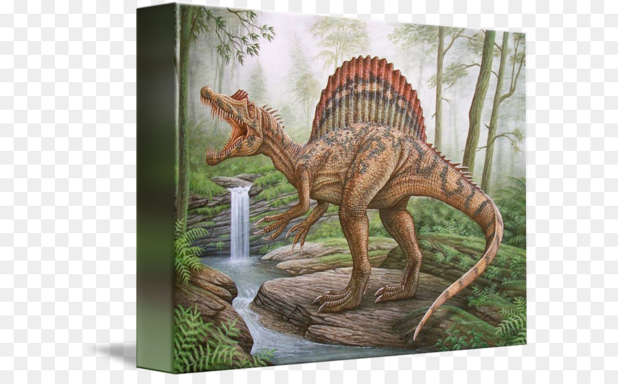 Spinosaurus，Pintura PNG