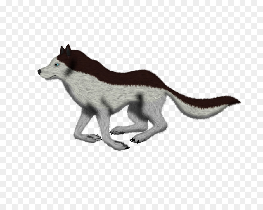 Cão，Gimp PNG