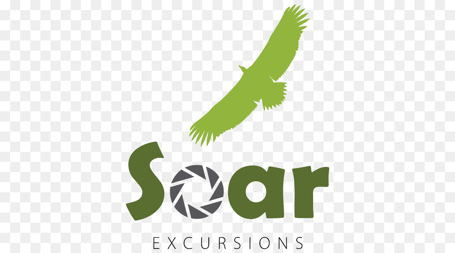 Voar Excursões，Organização PNG