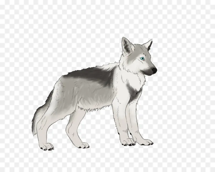 Lobo De Desenho Animado，Lobo PNG