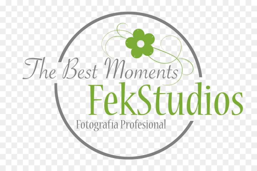 Fekstudios，Aniversário PNG