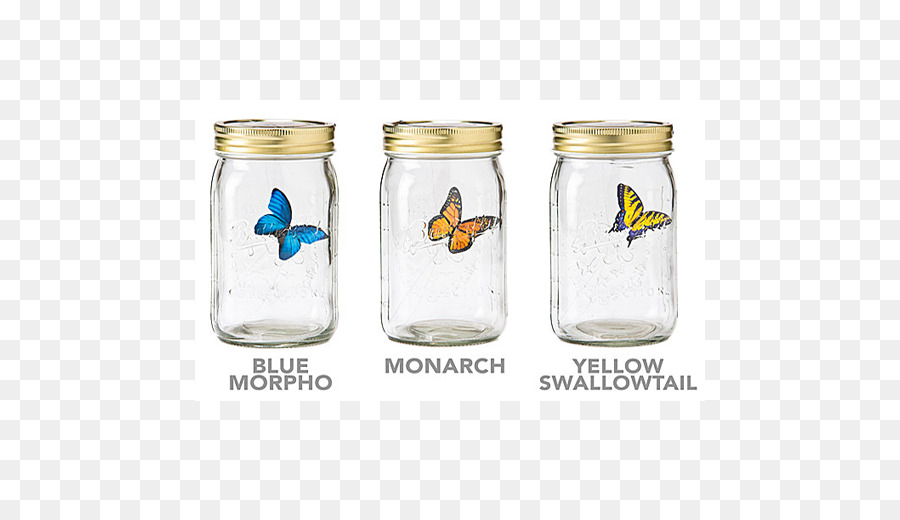 Borboleta，Jar PNG