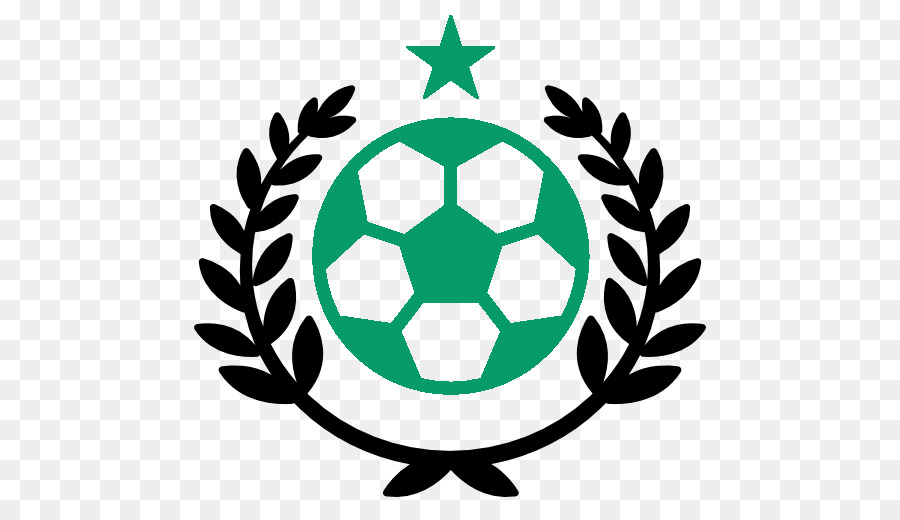 Bola De Futebol，Futebol PNG