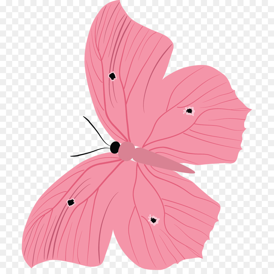 Borboleta Rosa，Bonitinho PNG