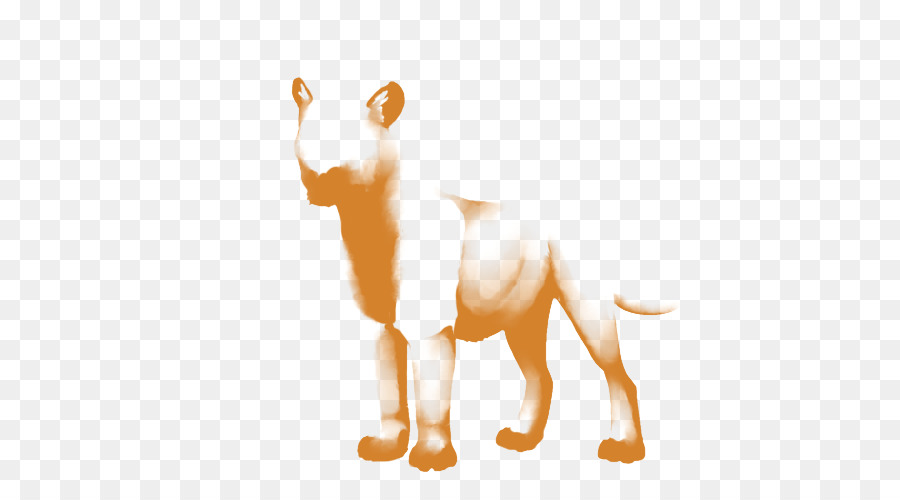 Leão，Cão PNG