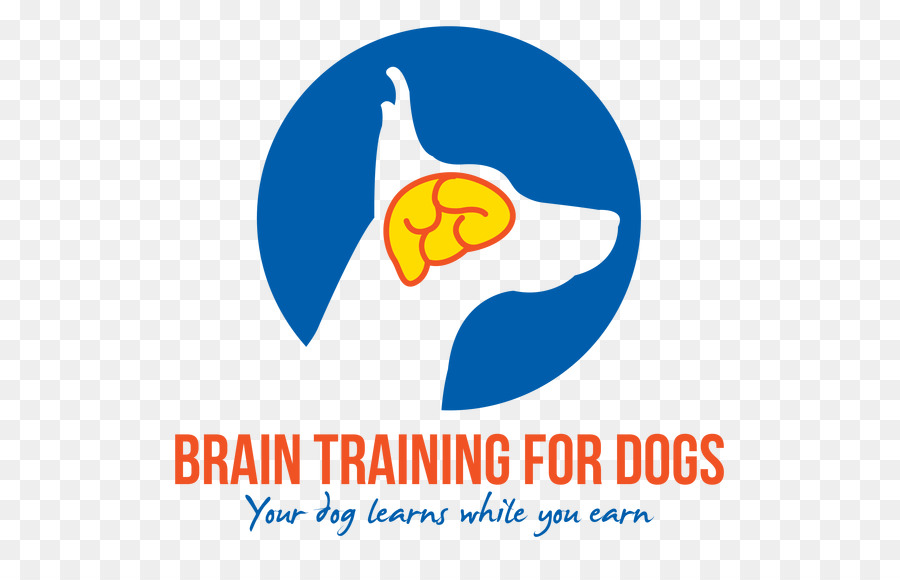 Cérebro De Treinamento Para Cães，Cão PNG