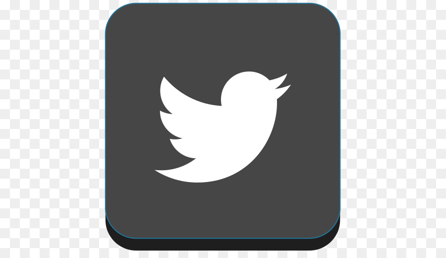 Logotipo Do Twitter，Mídia Social PNG