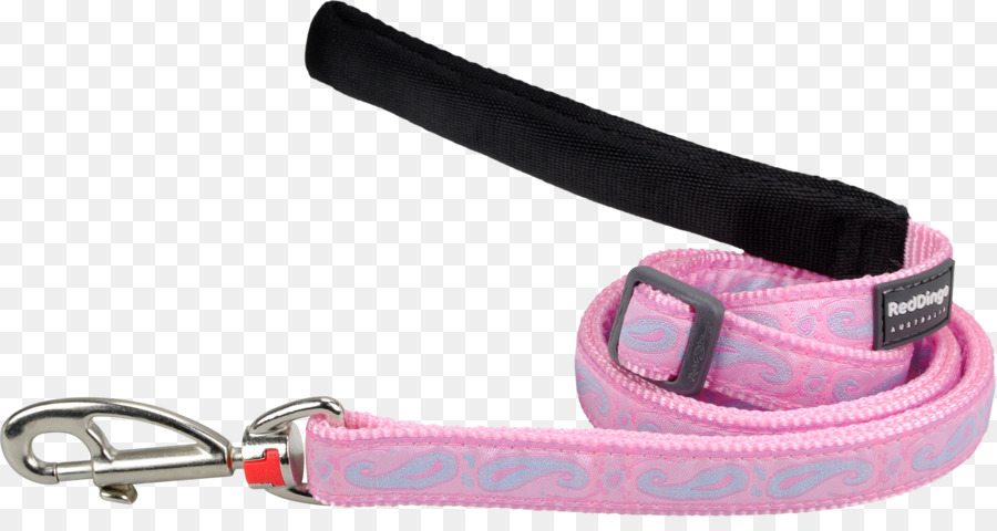 Leash，Carro PNG