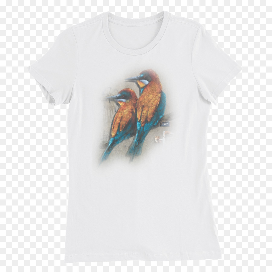 Tshirt，Moda PNG