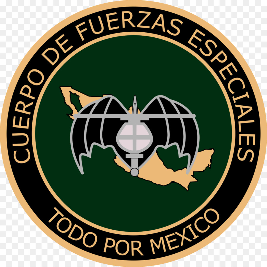Cuerpo De Fuerzas Especiales，Forças Especiais PNG