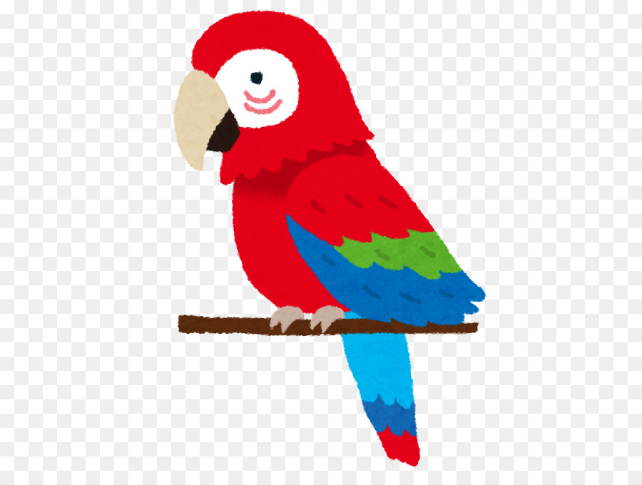 惯用语，Aves PNG