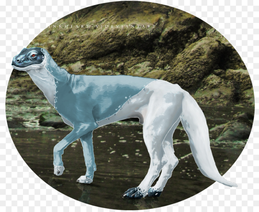 Whippet，Greyhound PNG