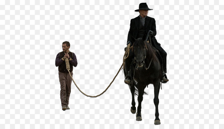 Homem A Cavalo，Cavaleiro PNG