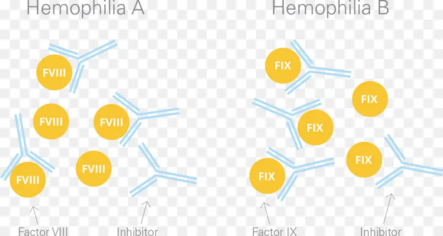 Factor Ix，Coagulação PNG