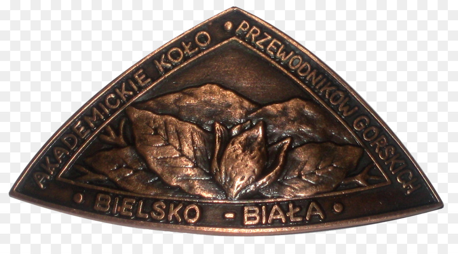 Medalha，Cobre PNG