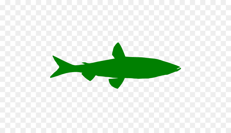 Tubarão，ícones Do Computador PNG