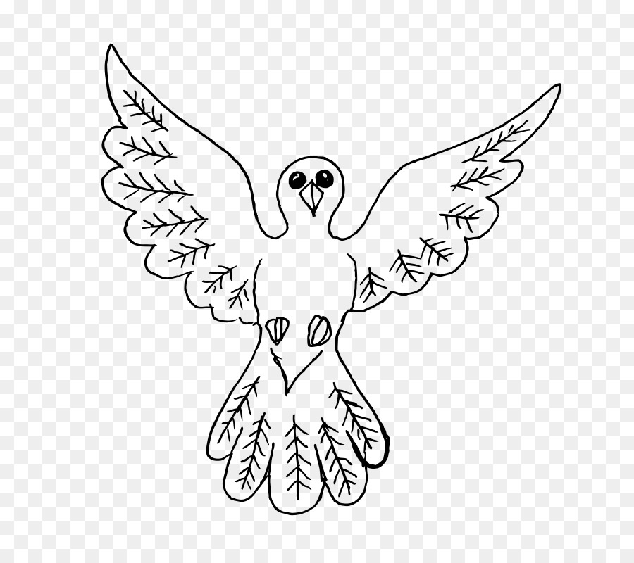 Aves，Desenho PNG