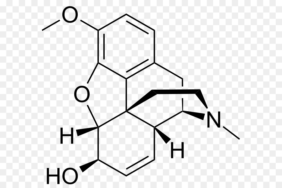 Estrutura Química，Molécula PNG