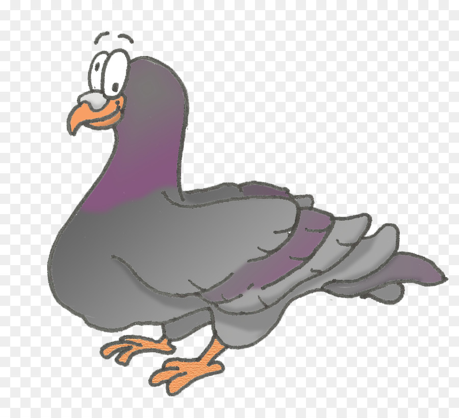 Pato，Galo PNG