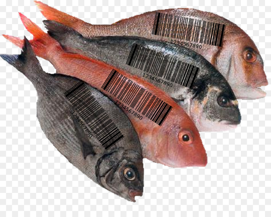 Peixe，Alimentos PNG