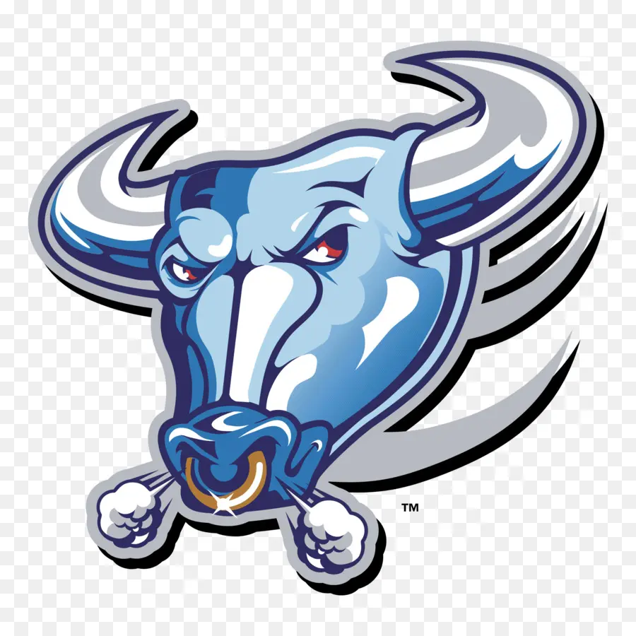 Buffalo Touros De Futebol，Touros PNG