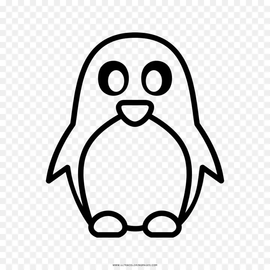 Pinguim，Animal PNG