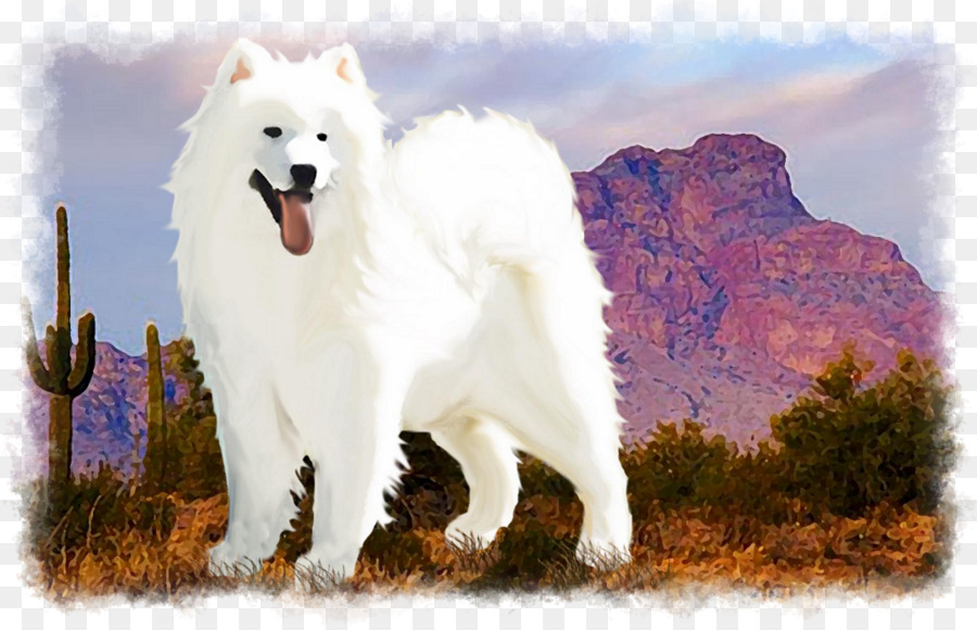 Raça Do Cão，Samoyed Cão PNG