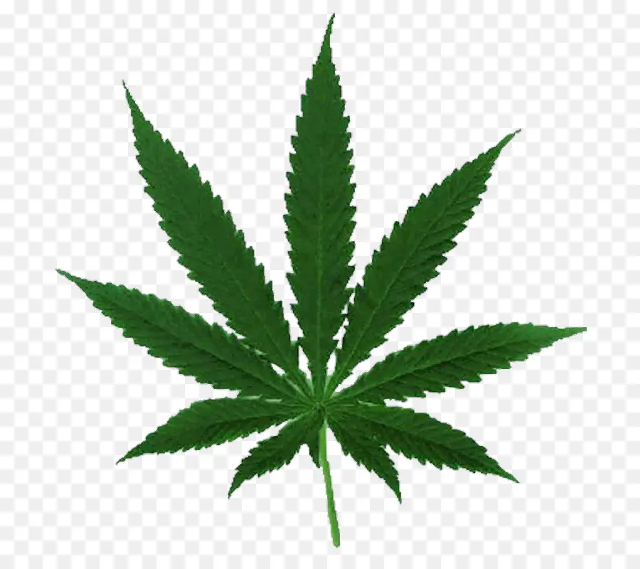 A Cannabis Ruderalis，Cannabis PNG