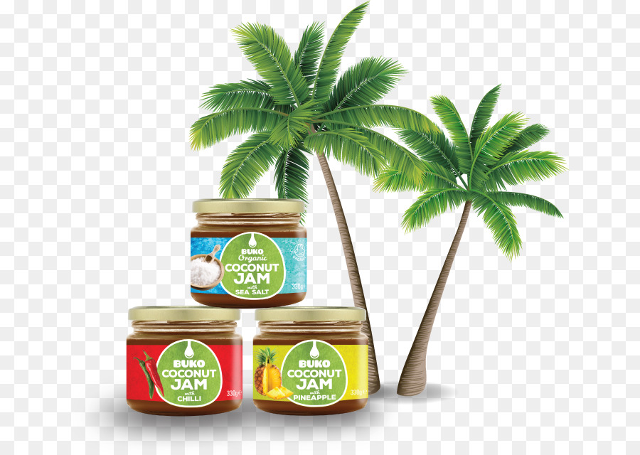 Coco Jam，Coco PNG