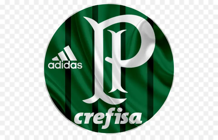 Emblema Do Palmeiras，Futebol PNG