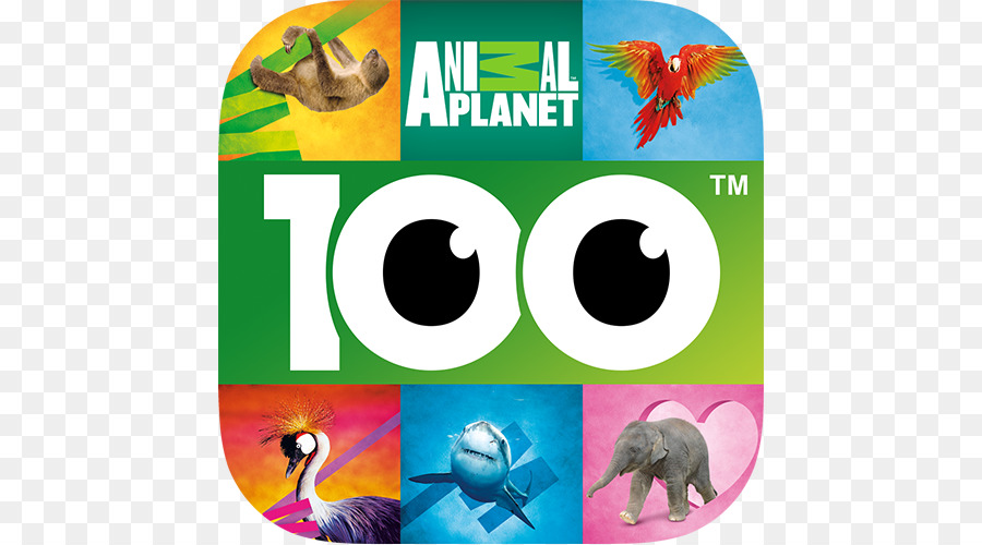 Logotipo Do Planeta Animal，Animais PNG