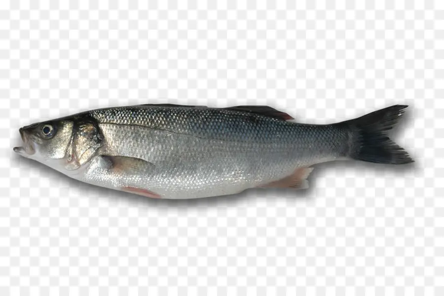 Sardinha，Produtos De Peixe PNG