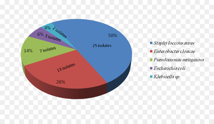 Gráfico De Pizza，Bactérias PNG