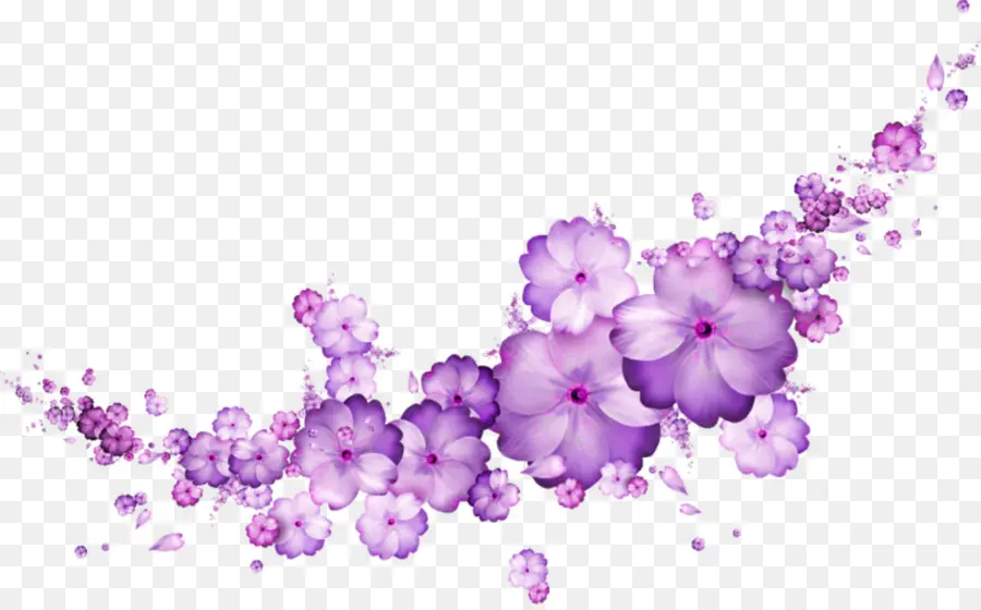 Violeta，Flor PNG