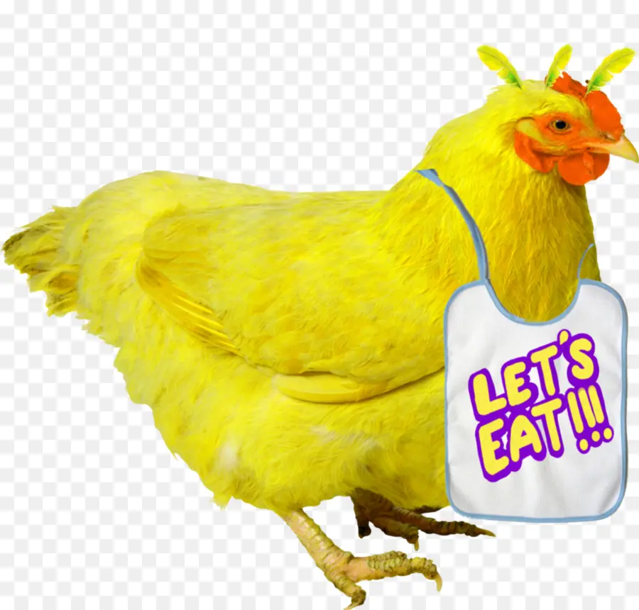 Frango Amarelo，Babador PNG