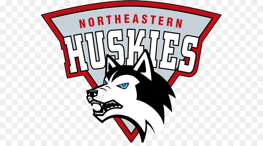 Northeastern University，Nordeste Huskies Basquete Masculino PNG
