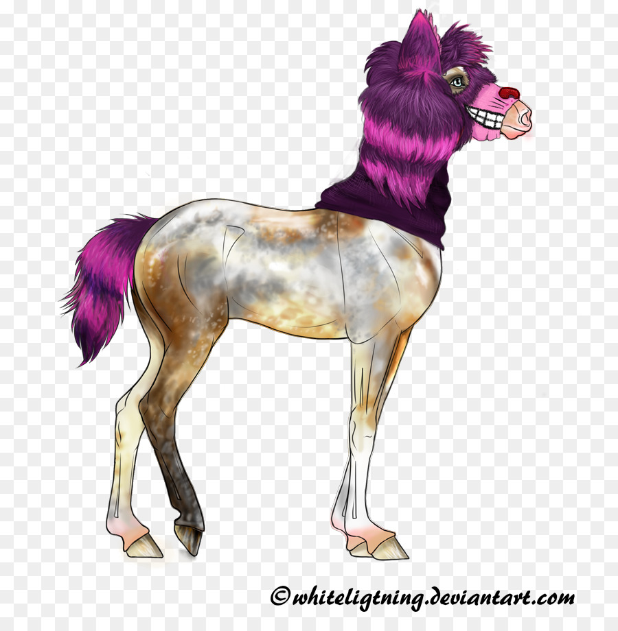 Mustang，Potro PNG