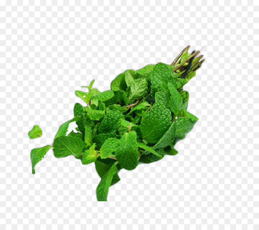 Hortelã Pimenta，Mentha Spicata PNG